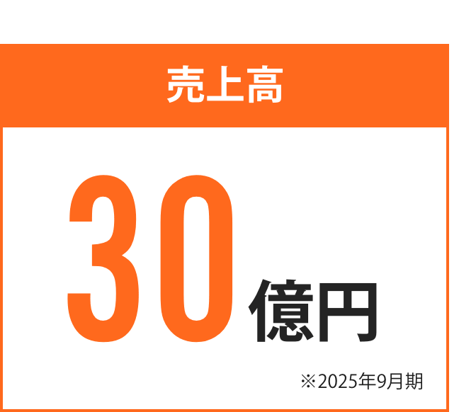 売上高30億円